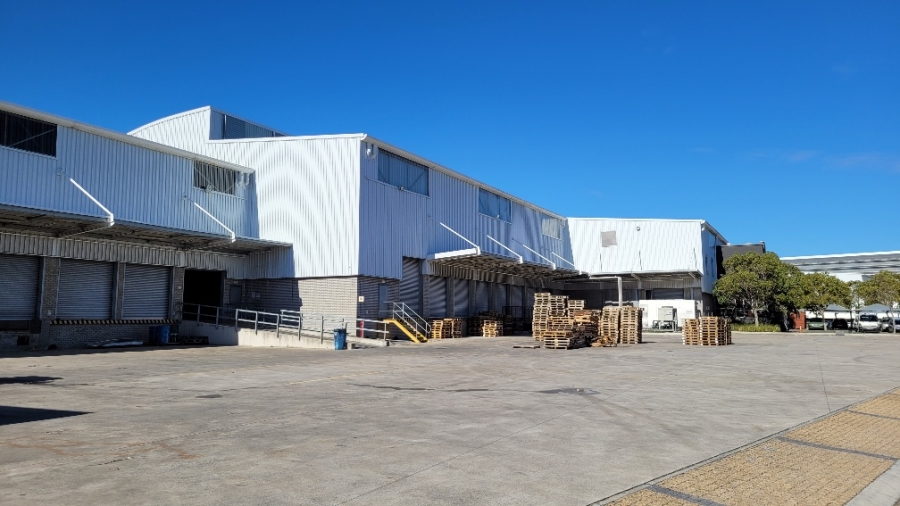 To Let commercial Property for Rent in Montague Gardens Western Cape